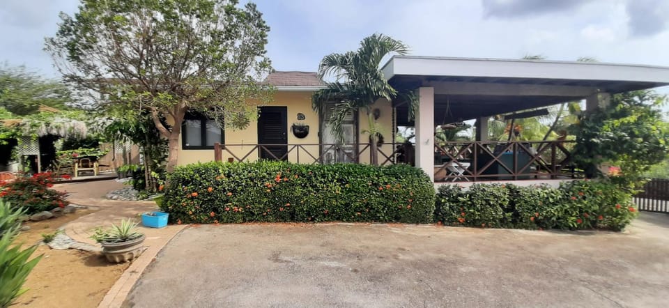 Property building, Day, Garden, Garden view