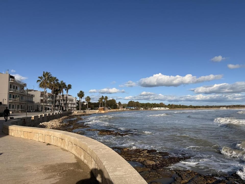Nearby landmark, Day, Beach