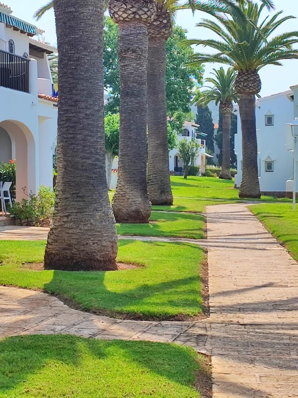 Garden, Garden view, Street view