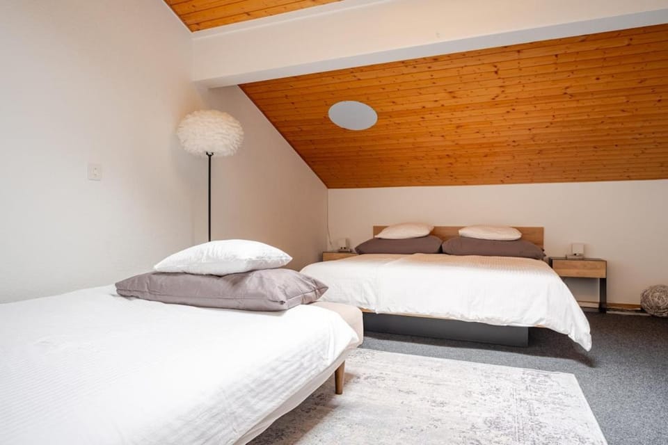 Nature Escape in Aeschi, Close to Interlaken Apartment in Canton of Bern (Region)