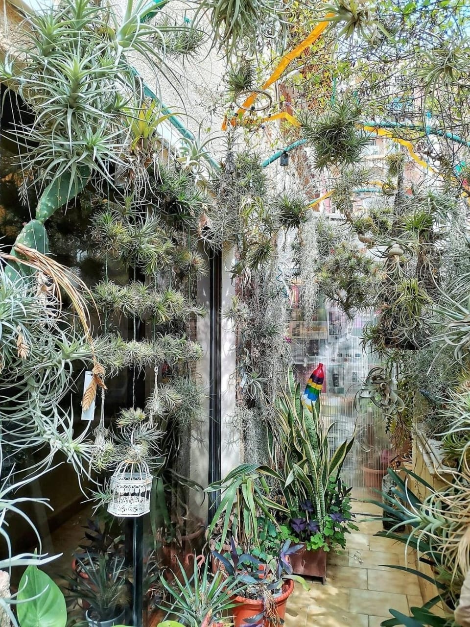 Spring, Day, Natural landscape, Garden, Decorative detail