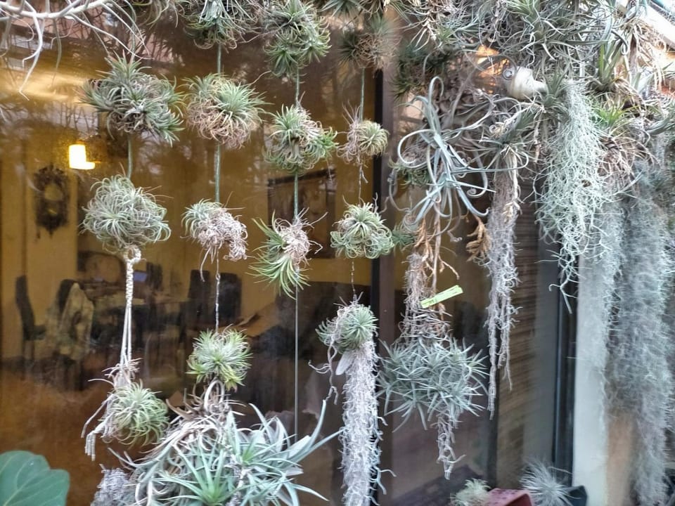 Spring, Day, Natural landscape, Decorative detail