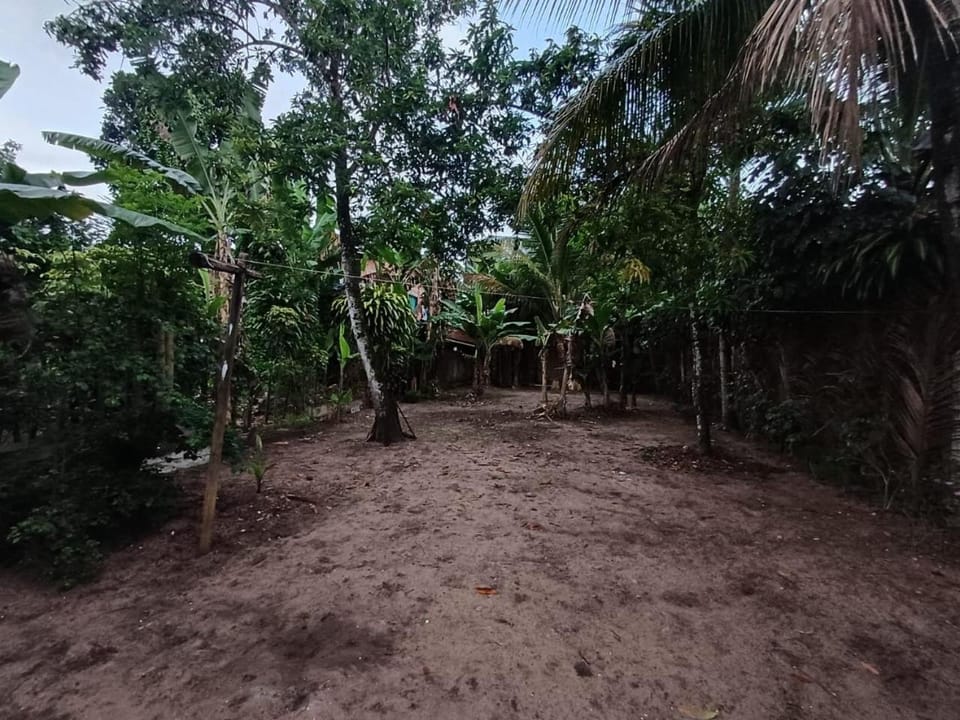 Patio, Garden