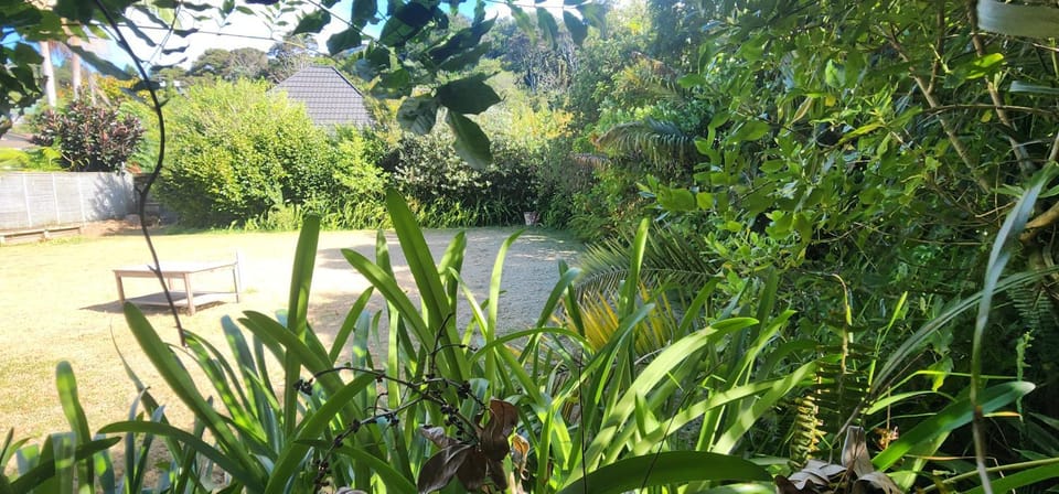 Day, Natural landscape, Garden view