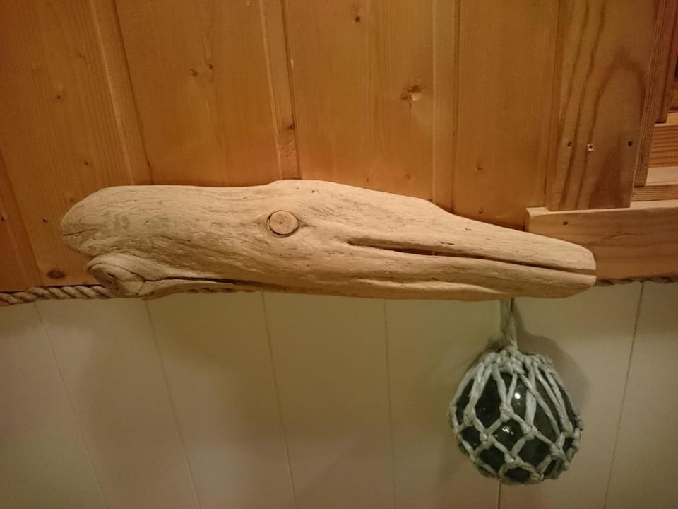 Spindaj House in Lapland