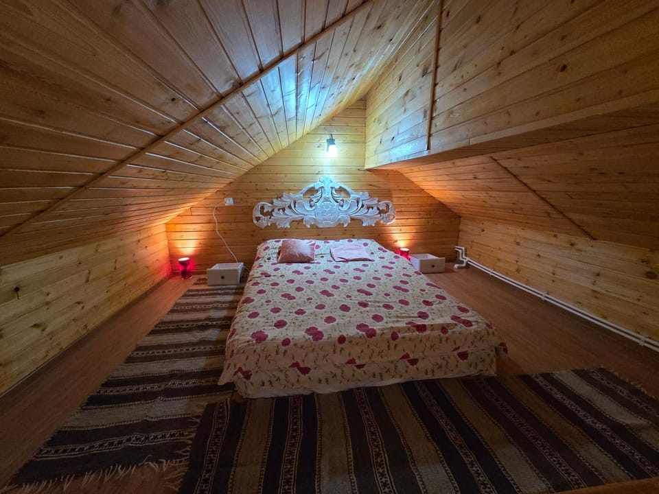 Casa DelCris House in Romania