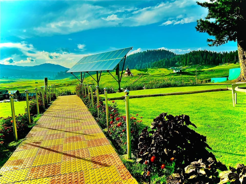 Garden