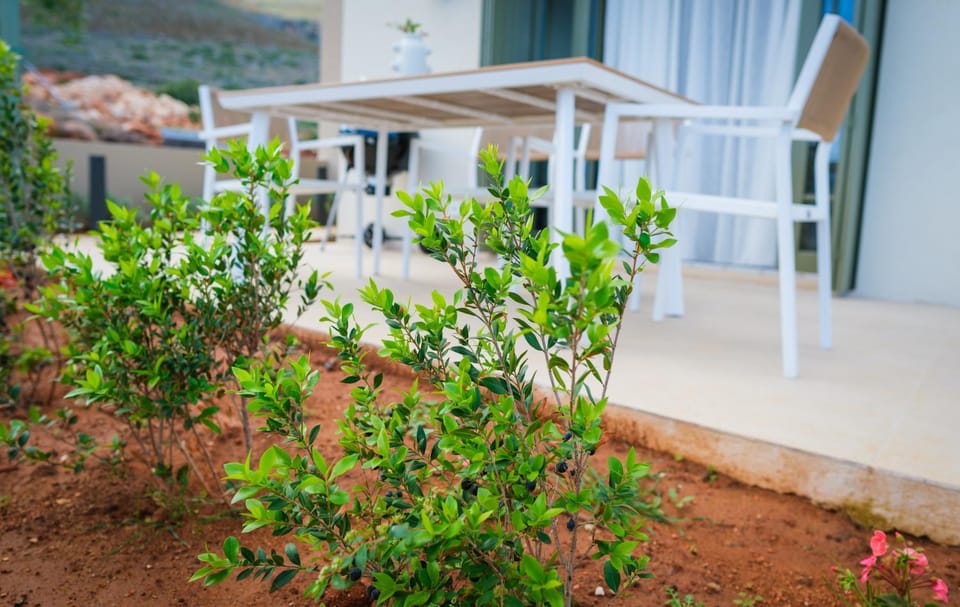 Balcony/Terrace, Decorative detail, Decorative detail
