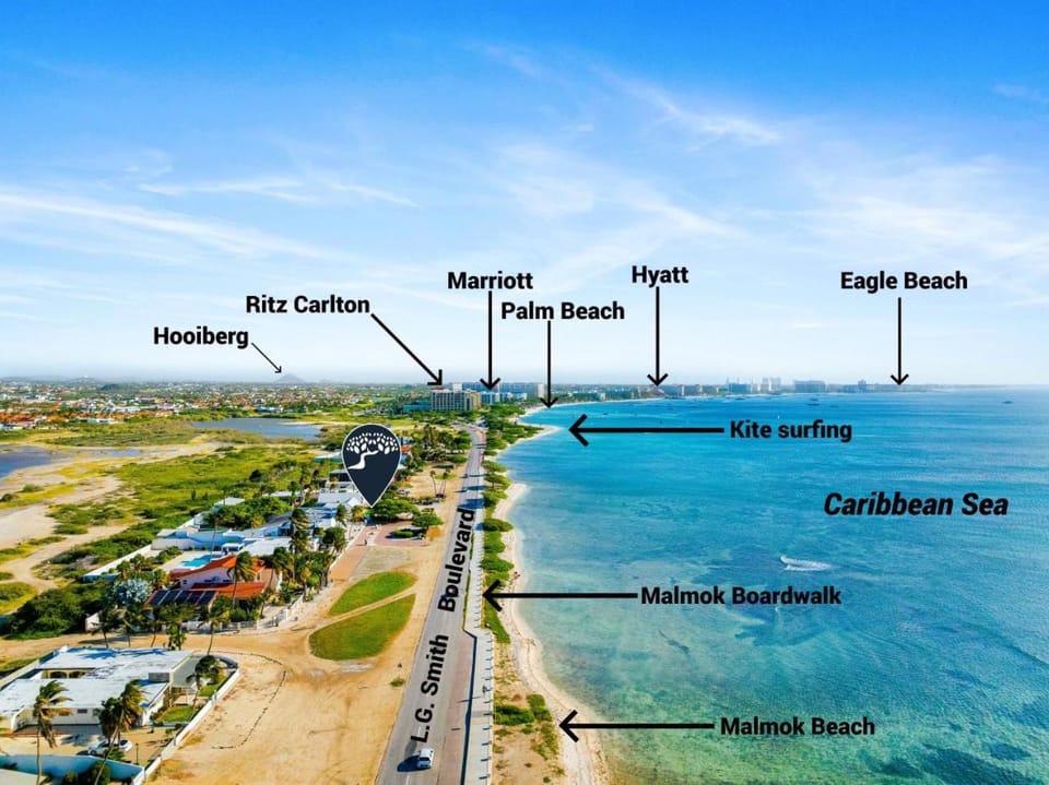 Oceanfront 4BR Lux Villa • Pool • Full Ocean View Apartment in Noord