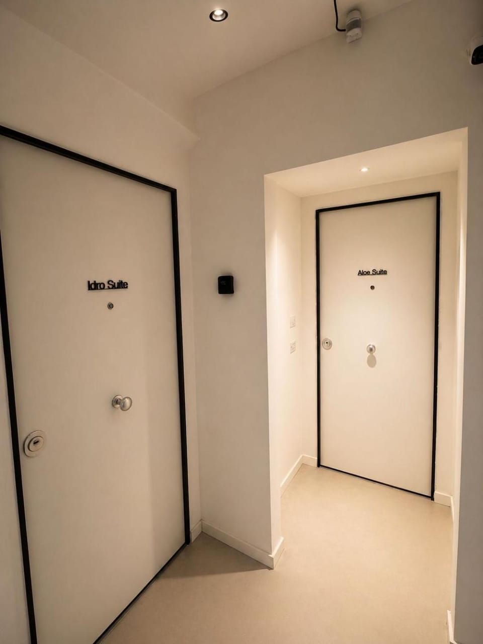 Aloe Suite Apartment in Palermo