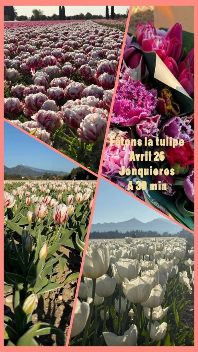 mobil home camping familial bord ardèche Campground/ 
RV Resort in Pont-Saint-Esprit