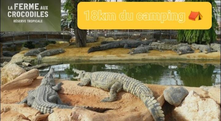 mobil home camping familial bord ardèche Campground/ 
RV Resort in Pont-Saint-Esprit