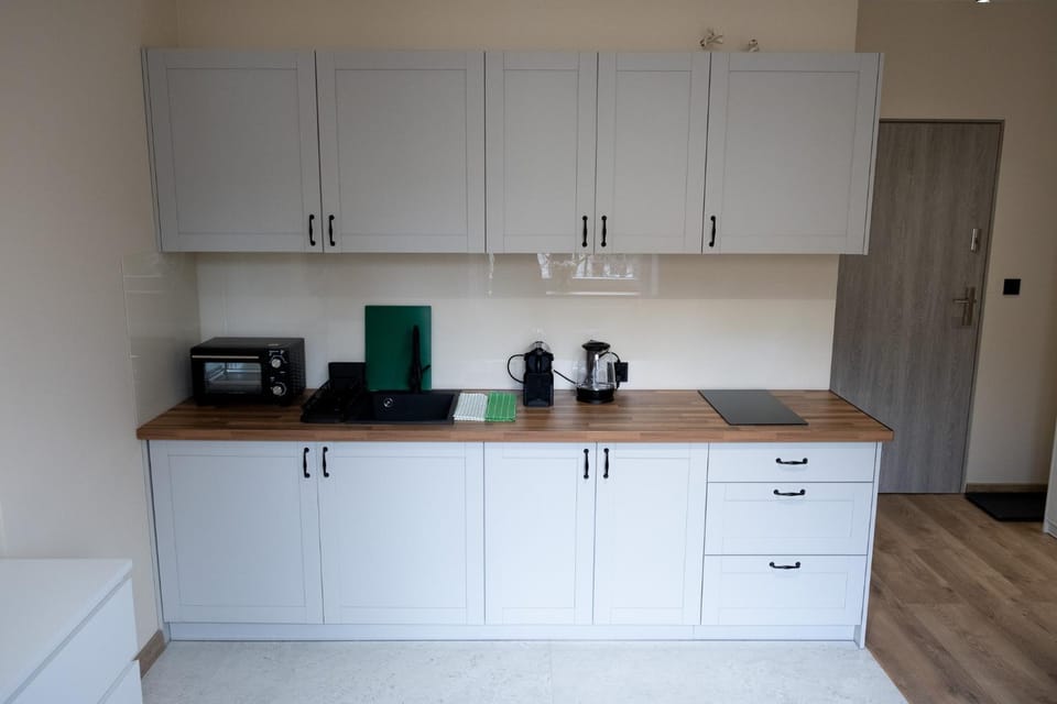 Garden Rogatka - comfortable accomodation near main station Apartment in Krakow