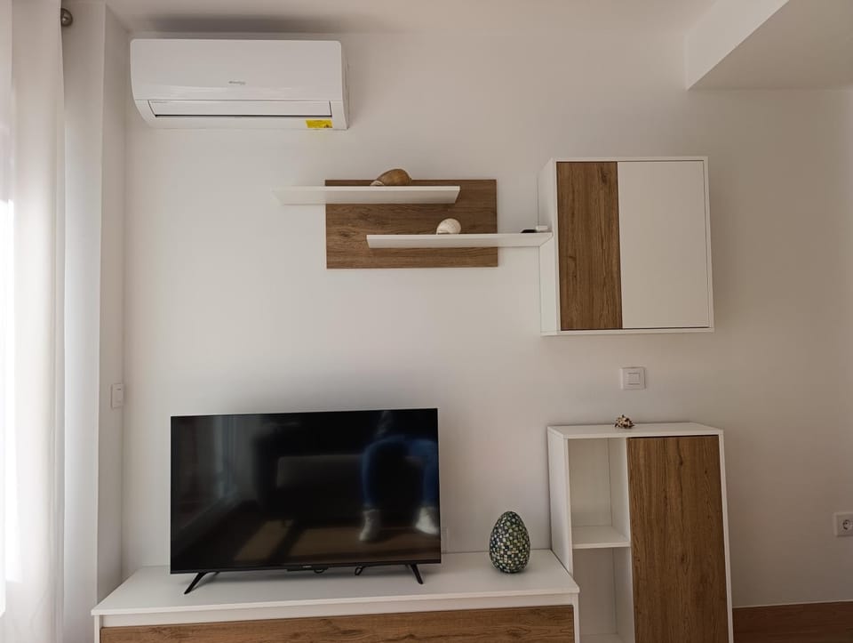 TV and multimedia, air conditioner