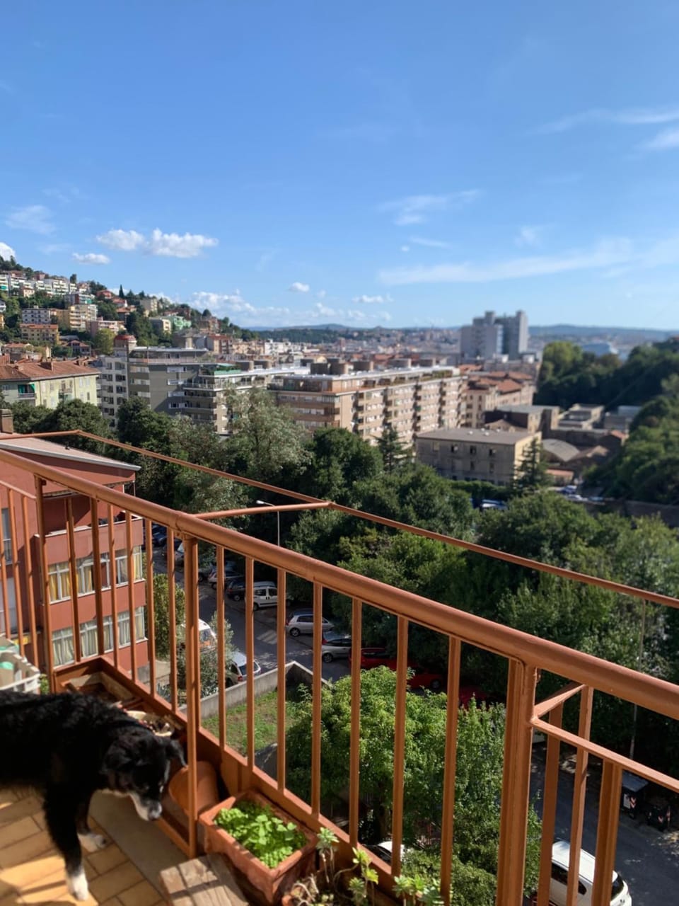 Balcony/Terrace, City view