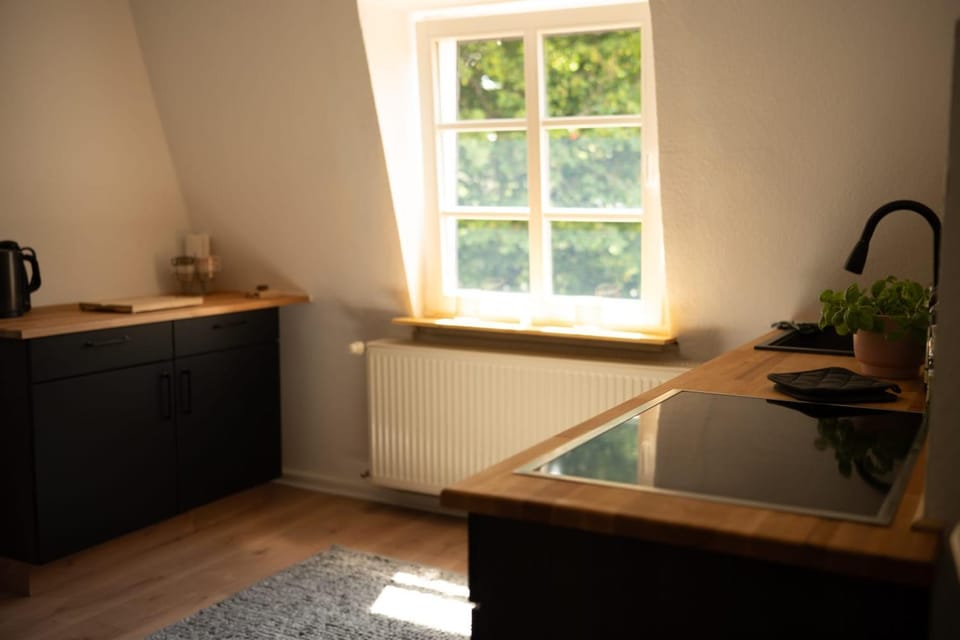 Kitchen or kitchenette, kitchen, kitchen