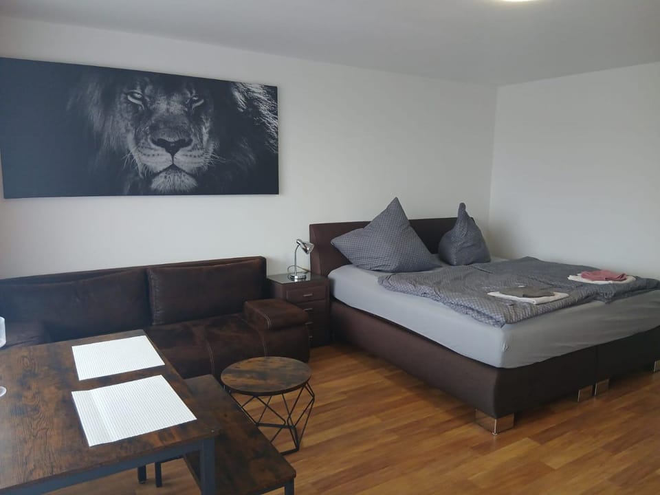 B312, kleines und gemütliches Appartement in Lahnstein Apartment in Koblenz