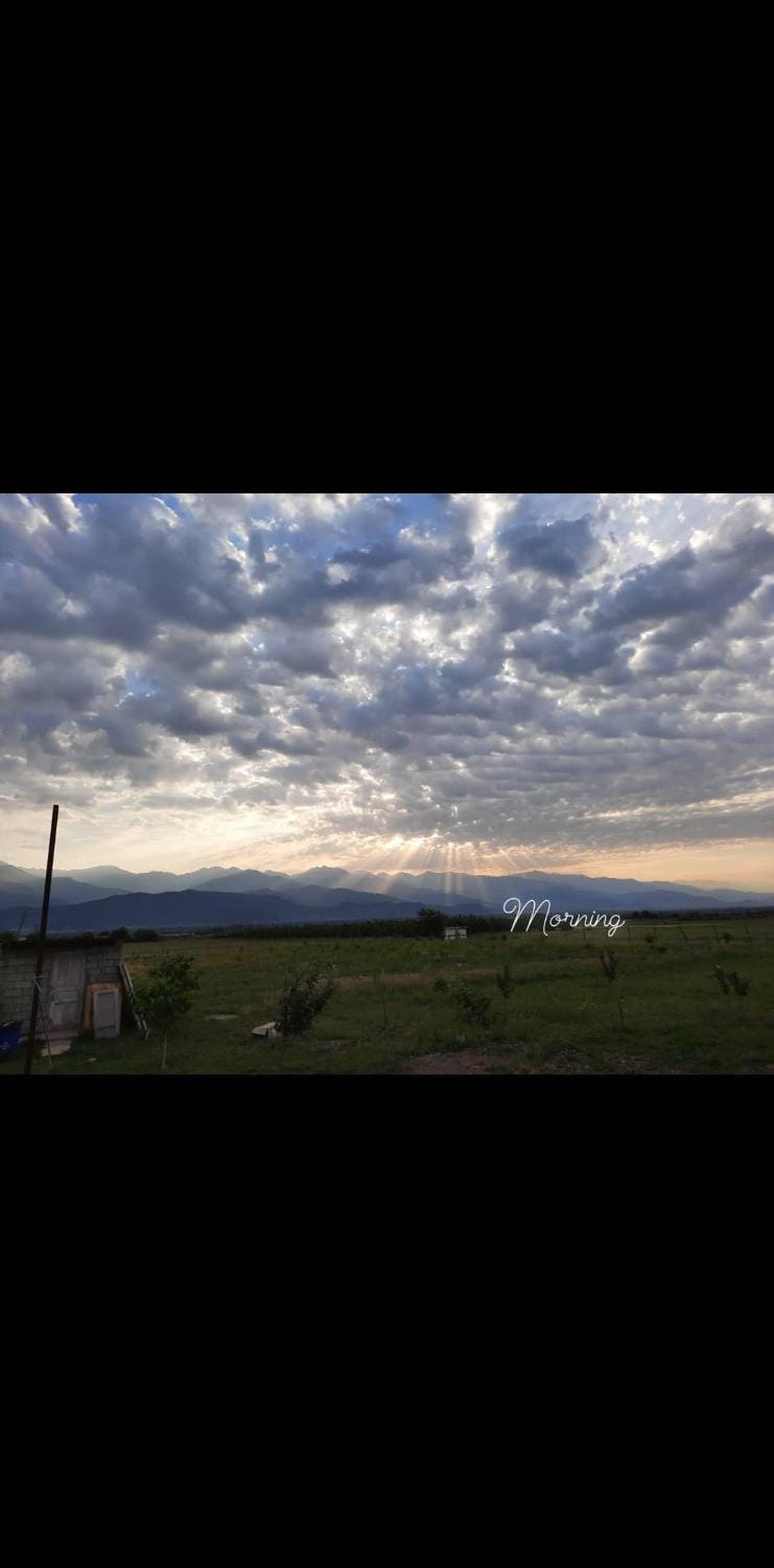 Mountain view