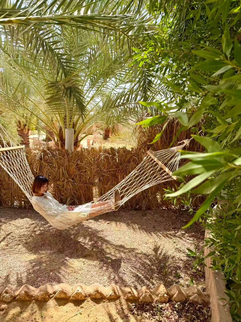 The Green Mirage free pickup Hotel in Egypt