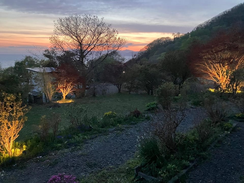 Natural landscape, Garden, Garden view, Sunset
