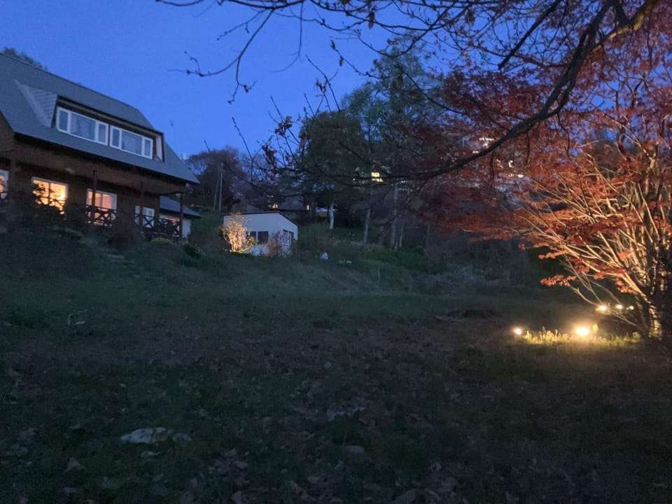 Night, Garden, Garden view