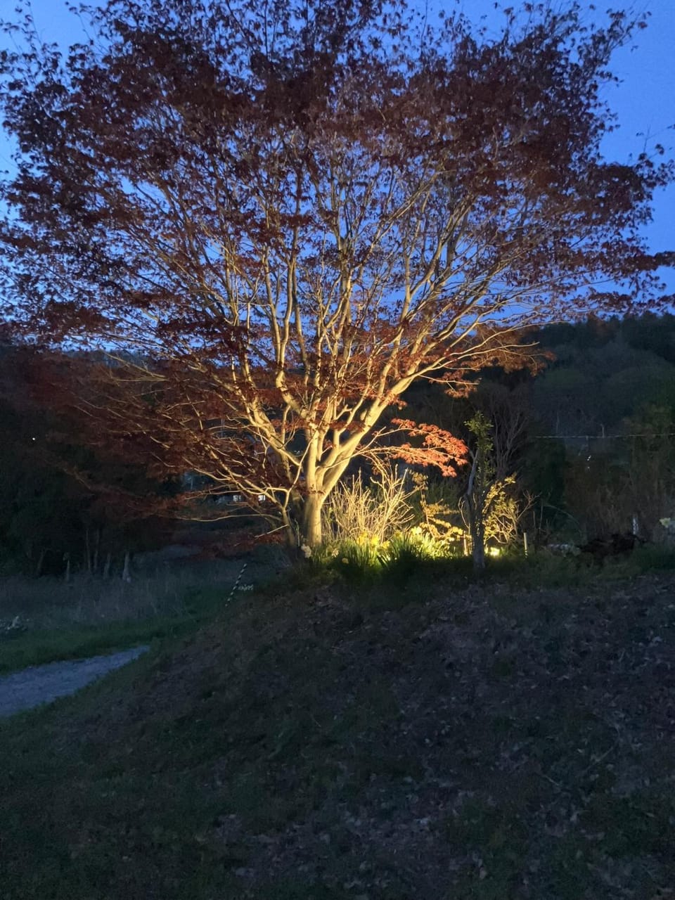 Natural landscape, Garden, Garden view