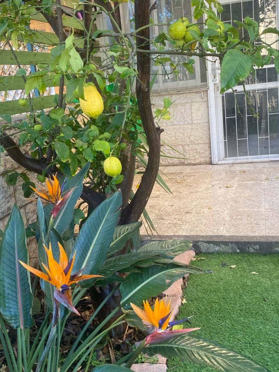 Appartement with Garden Apartment in Jerusalem