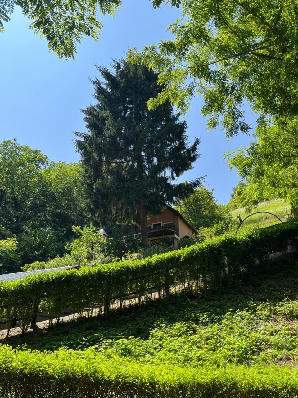 Property building, Natural landscape