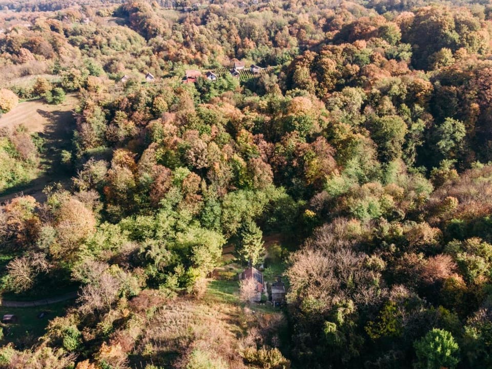Property building, Natural landscape