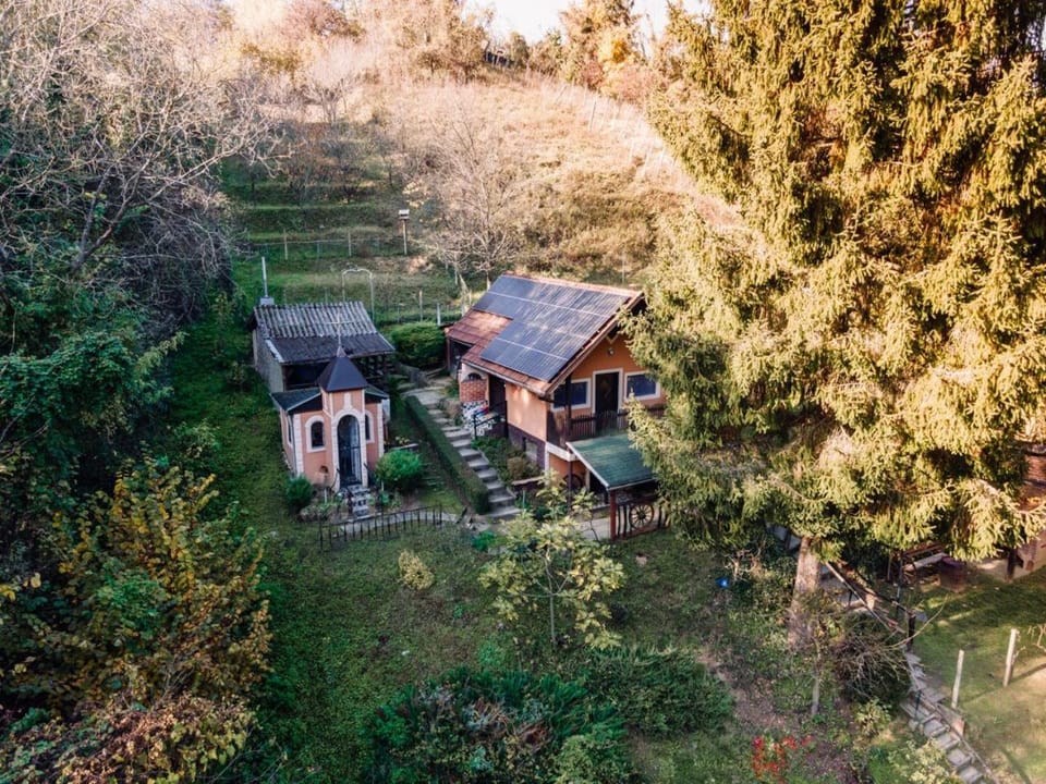 Property building, Day, Natural landscape, Garden, Garden view