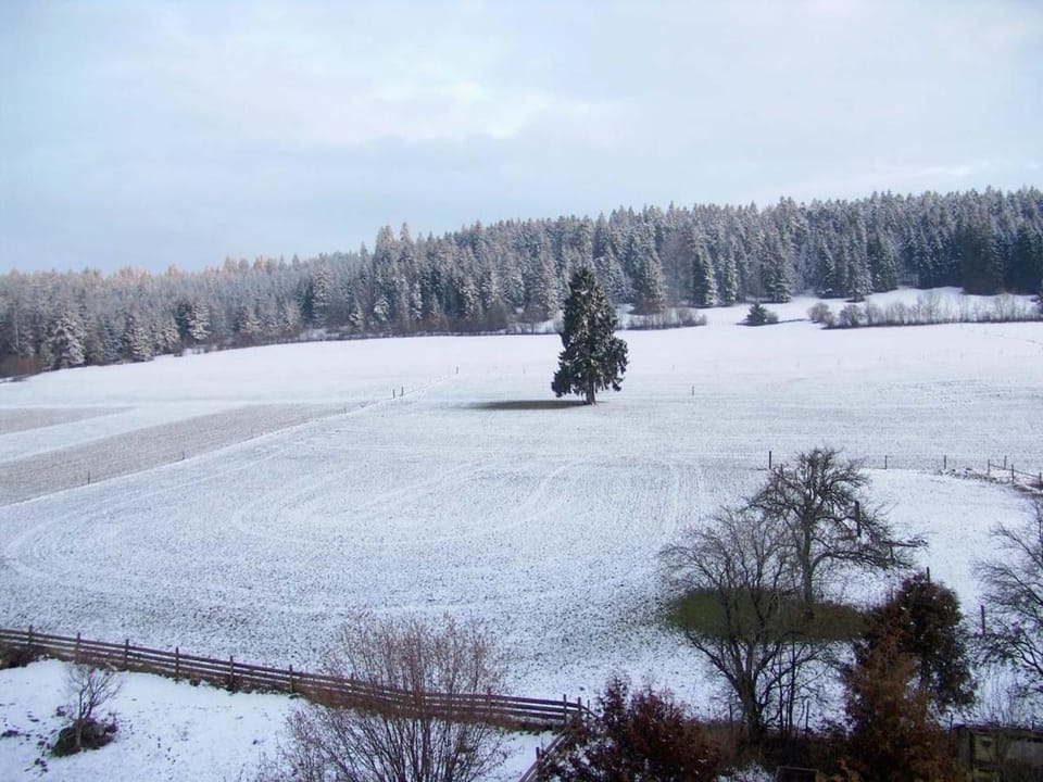 La Colonie, former watch factory Apartment in Canton of Bern (Region)