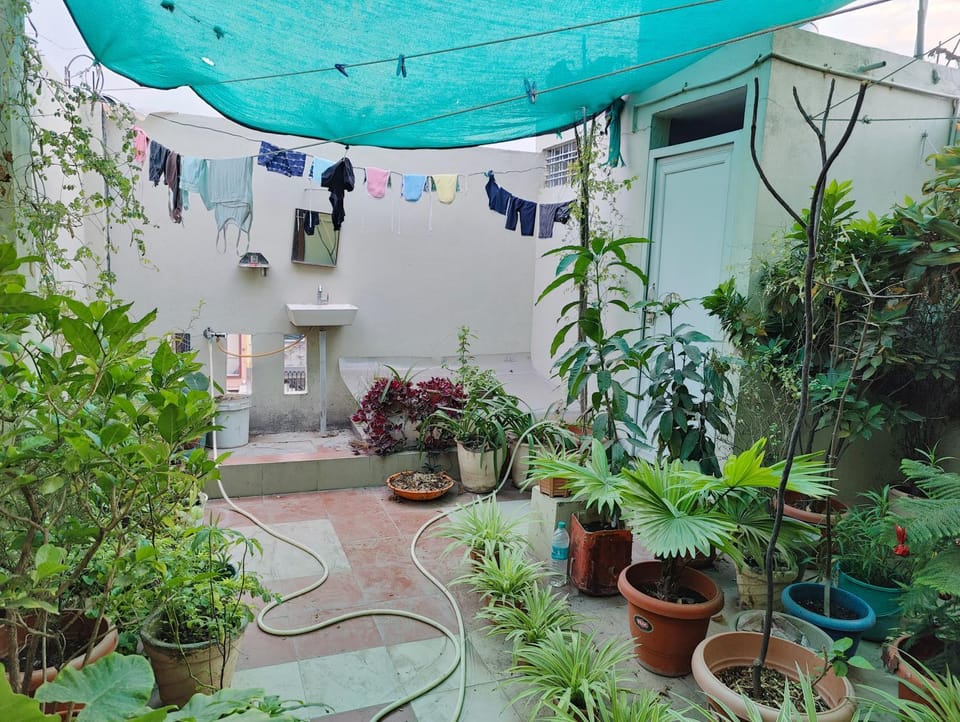 Bathroom, Garden view