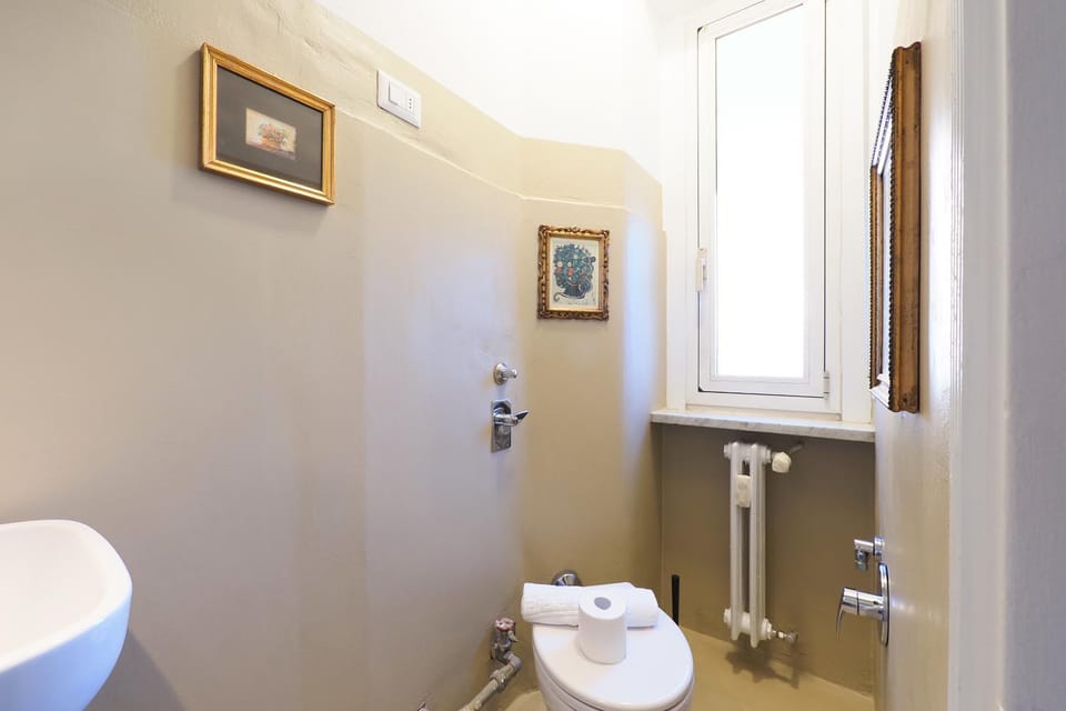 Toilet, Bathroom, towels