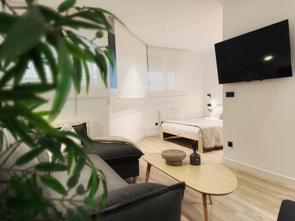 Bilbao Studio Garden Apartment in Bilbao