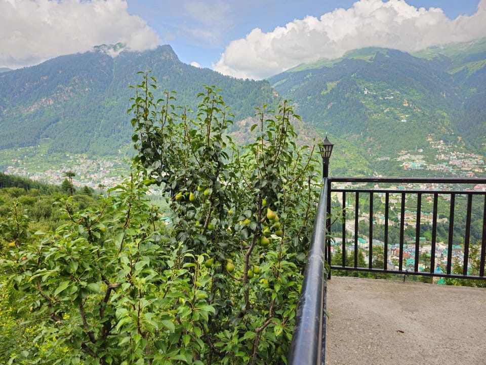Landmark view