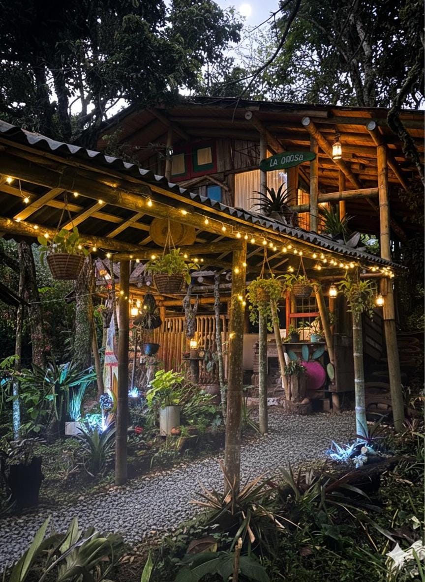 Garden view