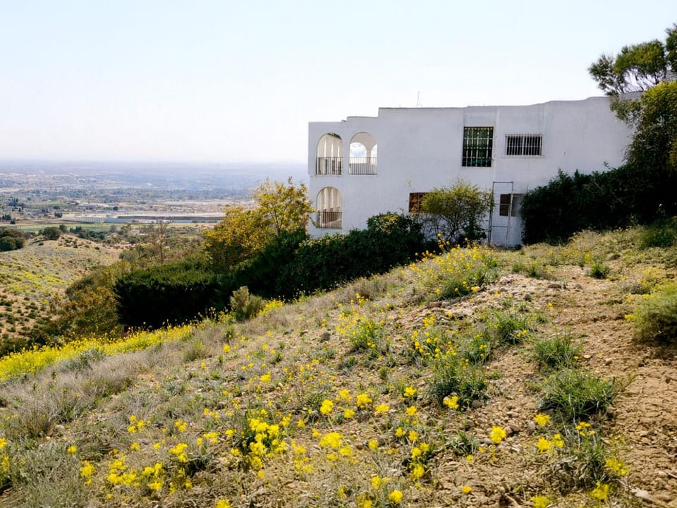 Property building, Natural landscape, Garden view