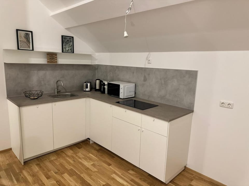 Kitchen or kitchenette, dishwasher, stove, toaster