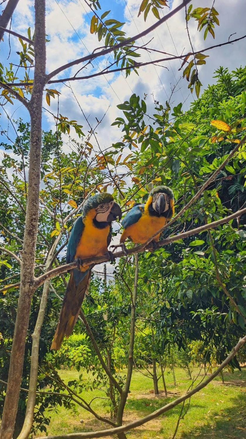 Finca Las Vegas House in Casanare, Colombia