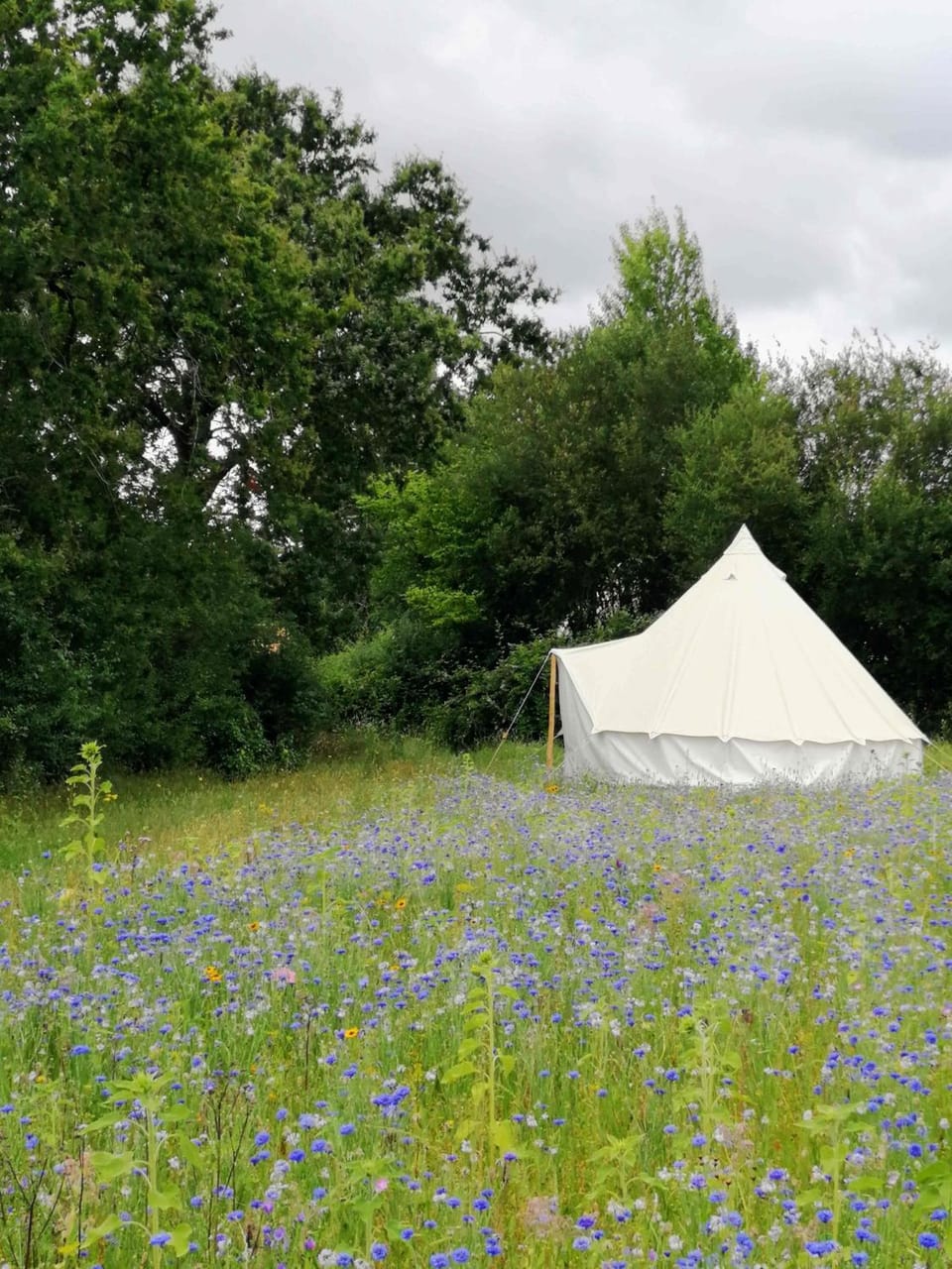 Le camping à la ferme des Rangs d'Oignons Campground/ 
RV Resort in Brittany