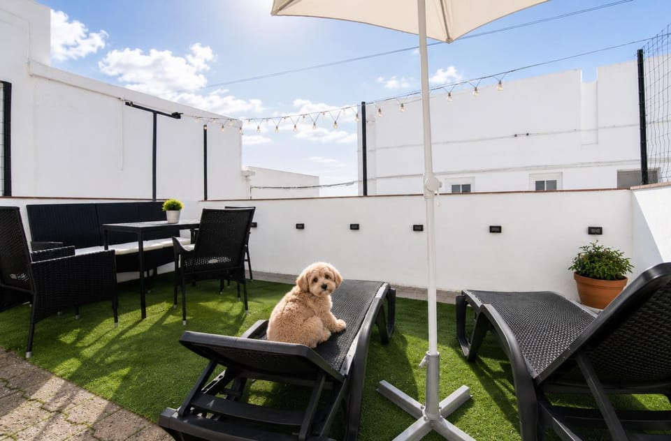 View (from property/room), Balcony/Terrace, Dining area, Animals, pet friendly, sunbed