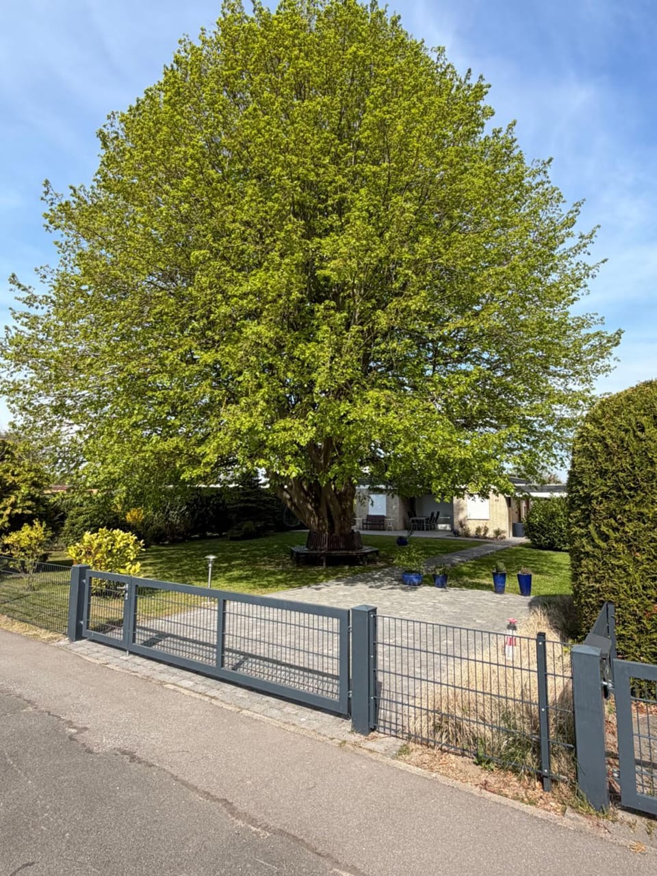 Day, Natural landscape, Garden