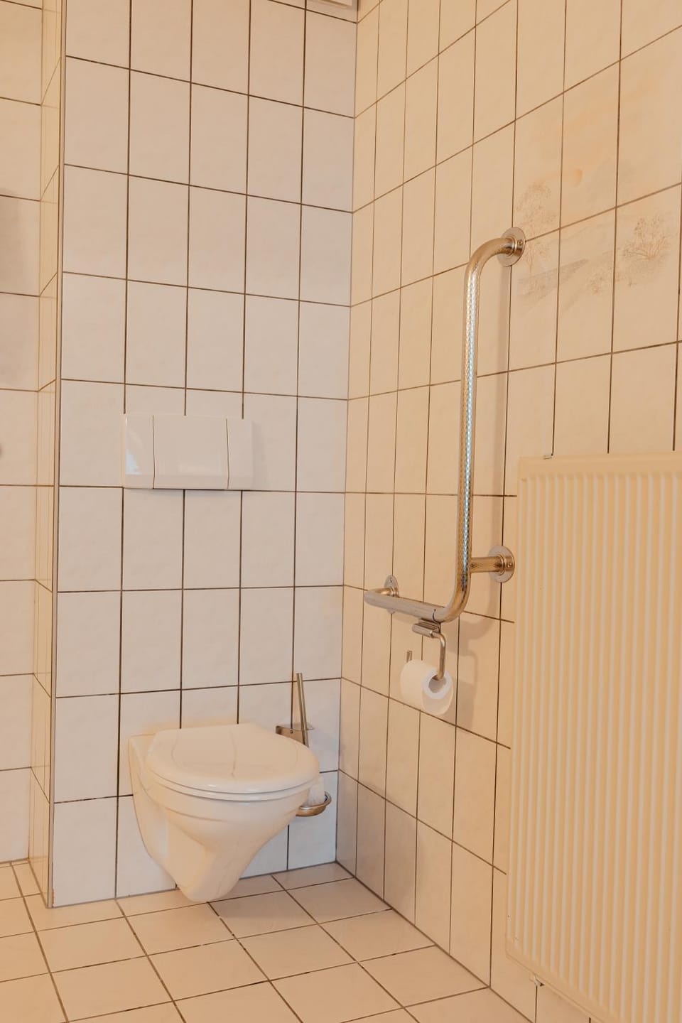 Toilet, Facility for disabled guests