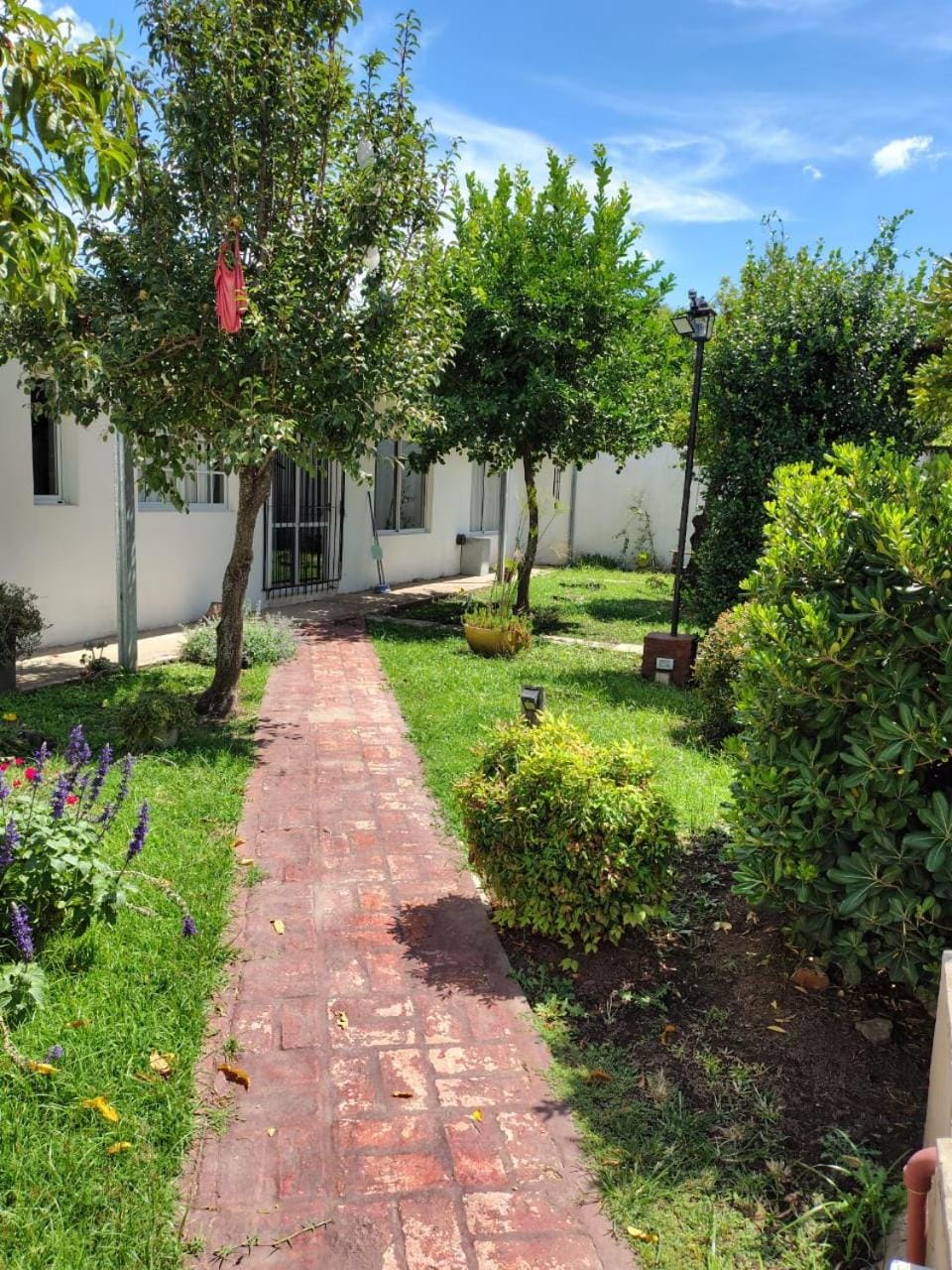 Patio, Facade/entrance, Garden