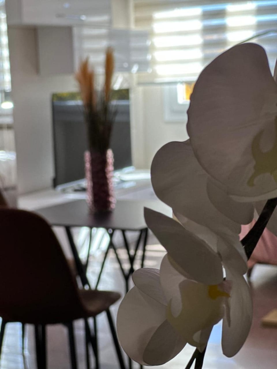 Luxury Suite Modena Apartment in Modena