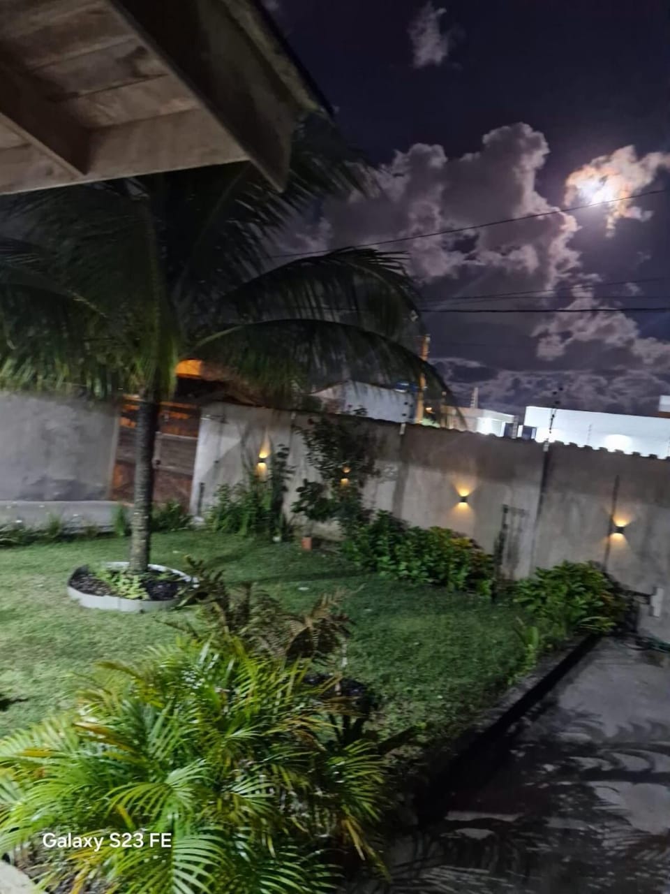 Night, Garden, Garden view