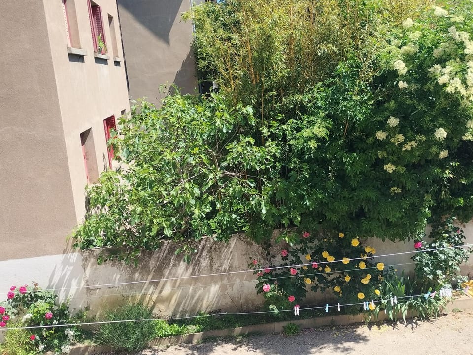 l'oasis de Paix Apartment in Dijon
