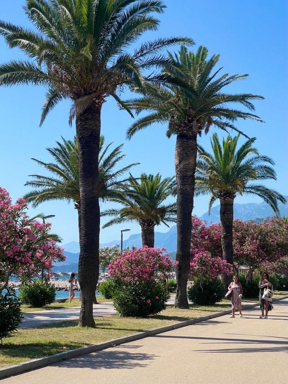 Barbara Apartment in Montenegro