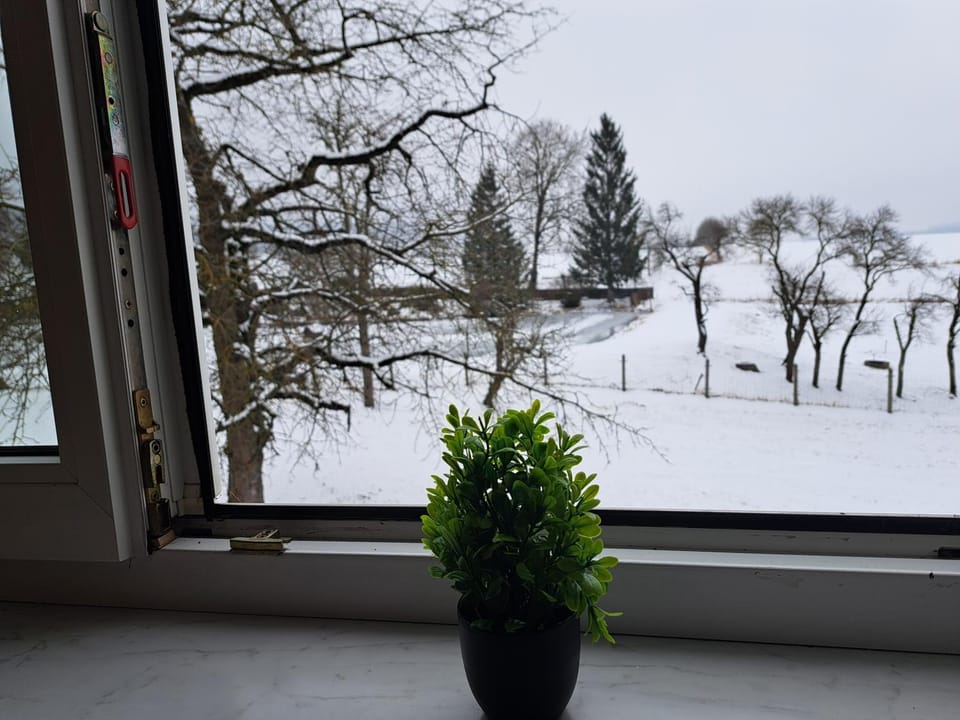 Ferienwohnung am Teich Apartment in Thuringia, Germany