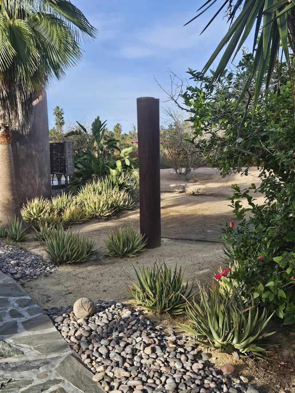 Garden view